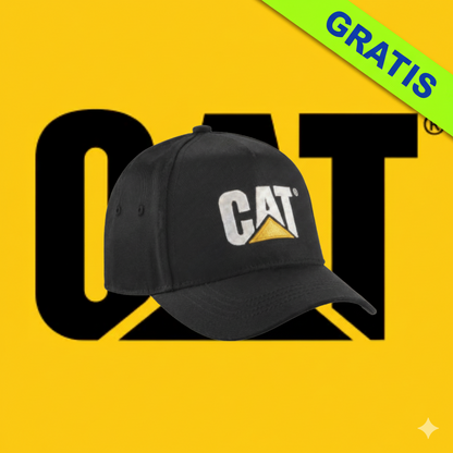 zapatos newcat + gorra Gratis